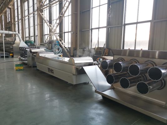 comprar decoración de nylon del jardín de la máquina del extrusor de 55kw 6400 Dtex online manufacture